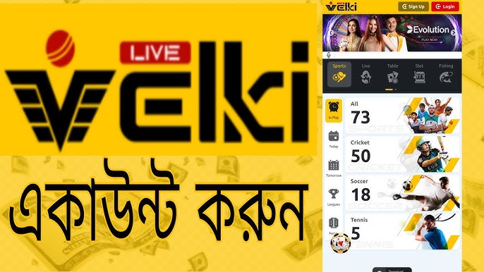Velki Login Process